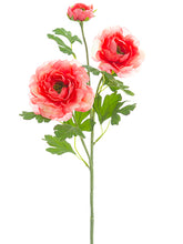Load image into Gallery viewer, Coral