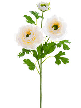 Load image into Gallery viewer, Peach