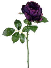 Load image into Gallery viewer, Eggplant