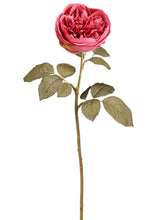 Load image into Gallery viewer, Cerise