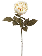 Load image into Gallery viewer, Eggshell