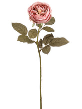Load image into Gallery viewer, Mauve