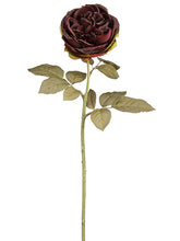 Load image into Gallery viewer, Plum