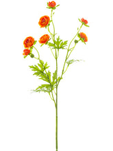 Load image into Gallery viewer, Orange