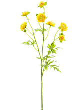 Load image into Gallery viewer, Yellow