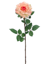 Load image into Gallery viewer, Salmon Peach
