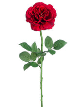 Load image into Gallery viewer, Red