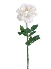 Load image into Gallery viewer, White Cream