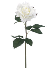 Load image into Gallery viewer, White