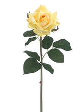 Load image into Gallery viewer, Yellow