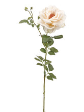 Load image into Gallery viewer, Blush