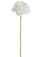 Load image into Gallery viewer, Cream