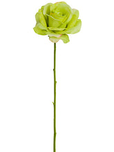 Load image into Gallery viewer, Green