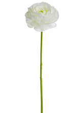 Load image into Gallery viewer, Cream