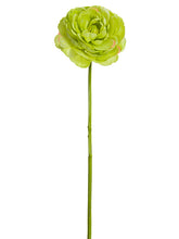 Load image into Gallery viewer, Green