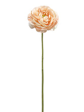 Load image into Gallery viewer, Blush
