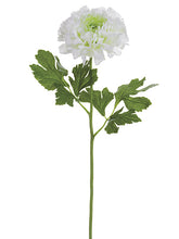 Load image into Gallery viewer, Cream Green