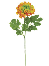 Load image into Gallery viewer, Orange Green