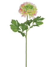 Load image into Gallery viewer, Pink Cream