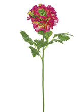 Load image into Gallery viewer, Purple Green