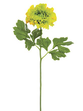 Load image into Gallery viewer, Yellow Green