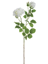 Load image into Gallery viewer, White