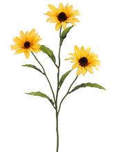 Load image into Gallery viewer, Yellow