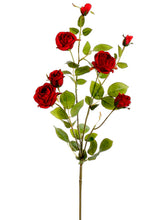 Load image into Gallery viewer, Red