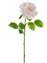 Load image into Gallery viewer, Blush