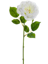Load image into Gallery viewer, White
