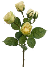 Load image into Gallery viewer, Yellow