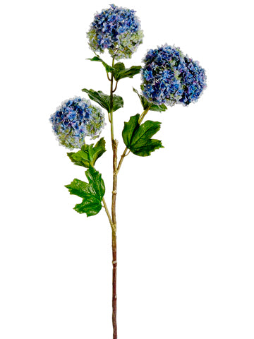 Blue Green