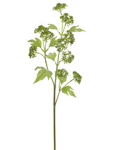 Load image into Gallery viewer, Green