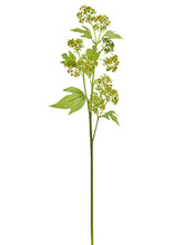 Load image into Gallery viewer, Yellow Green