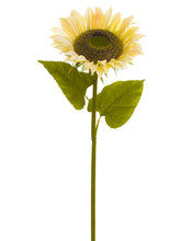 Load image into Gallery viewer, Cream