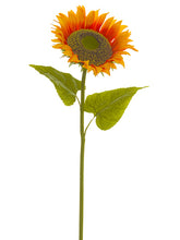 Load image into Gallery viewer, Orange
