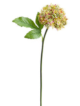 Load image into Gallery viewer, Green Pink