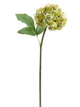 Load image into Gallery viewer, Green White