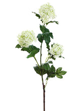 Load image into Gallery viewer, Cream