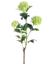 Load image into Gallery viewer, Green