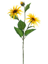 Load image into Gallery viewer, Yellow