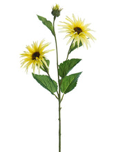 Load image into Gallery viewer, Light Yellow