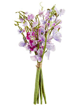 Load image into Gallery viewer, Lavender Boysenberry