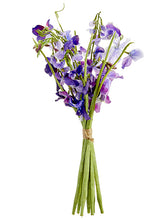 Load image into Gallery viewer, Purple Violet