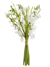 Load image into Gallery viewer, White