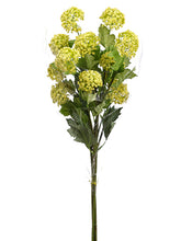 Load image into Gallery viewer, Yellow Green