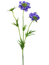 Load image into Gallery viewer, Helio