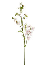 Load image into Gallery viewer, Pink Soft