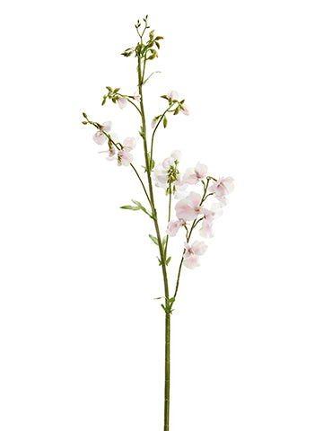 Pink Soft
