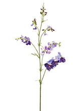 Load image into Gallery viewer, Purple Violet